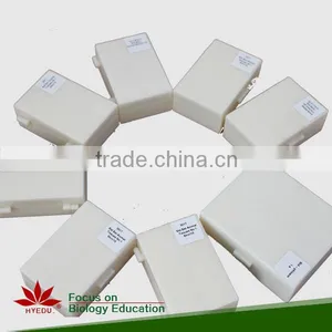 Microscope Prepared Slides ,Stem Slides, Stem of Abnormal Condition Prepared Slides thumbnail-4