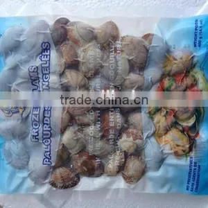 Hot Sale Frozen Shell Whole Baby Clam thumbnail-1