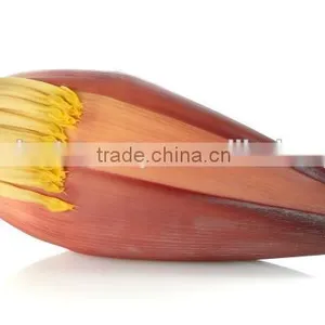 Banana Flower Exporters thumbnail-2
