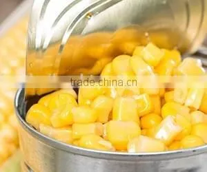 Canned Sweet Corn thumbnail-4