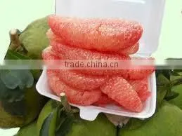 Vietnam's Pomelo thumbnail-1