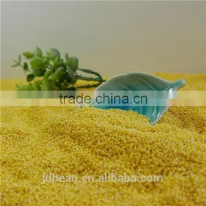 2016 Crop Glutinous Yellow Millet Sticky Millet for Rice Cake thumbnail-5