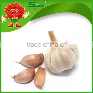 Factory Price Dry Garlic thumbnail-1