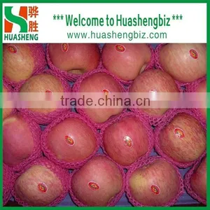 Latest Red Apple Price/sweet Red Fresh Apple for Sale thumbnail-2