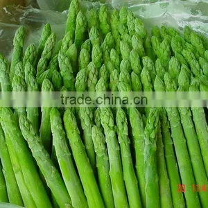 Top Quality Frozen Green Asparagus for 1 kg Packed per Carton thumbnail-1