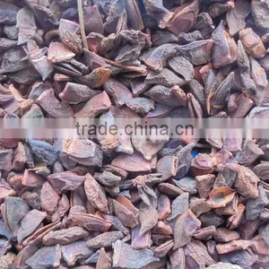 VIETNAM AUTUMN STAR ANISEED thumbnail-3