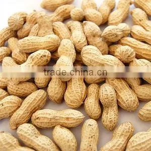 Selected Peanuts in China thumbnail-1