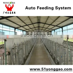 Auto Feeding System for Pig Farm thumbnail-1