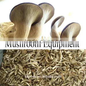 Mushroom Belt Drying Machine thumbnail-4