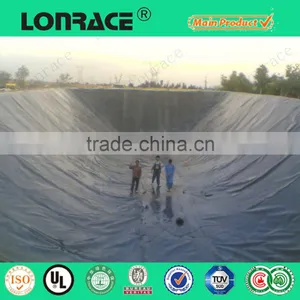 Hdpe Geomembrane Manufacturers thumbnail-2