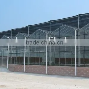 Glass Agricultural Greenhouse thumbnail-1