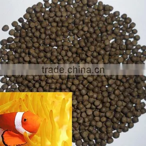 Hot Sales of Fish Ball Food Manufacturing Machines thumbnail-2