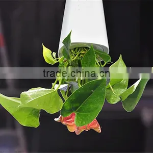 Creative Flower Pot Plastice Sky Planter Mini Sky Garden Hang Suspended Decorative Sky Planter New Design Indoor Sky Planter thumbnail-5