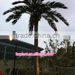 Artificial Big Tower Palm Trees thumbnail-1