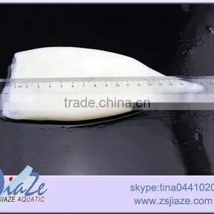 Frozen Squid(U5,U7,U10) thumbnail-1