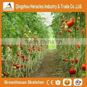 Heracles Trade Assurance Greenhouse for Sale thumbnail-5