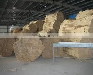 Youngsun Reed Farm company overview - view 2 thumbnail