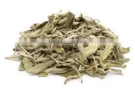 Sage Leaves Dry thumbnail-1