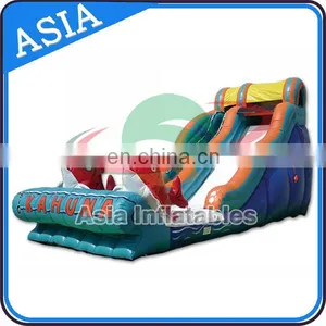 Sunshine Dolphins Playground Inflatable Water Slide thumbnail-2