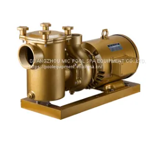 High Speed Swimming Pool Brass Water Pump,swimming Pool Equipment thumbnail-2