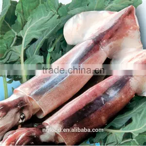 Frozen Squid Whole thumbnail-1