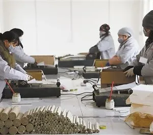Shandong Yumeiren Wormwood Products Co., Ltd company overview - view 4 thumbnail