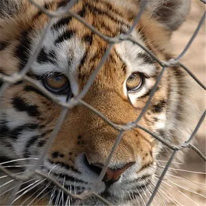 Zoo-specific Ecological Mesh/Tiger Enclosure Mesh/hand-woven Stainless Steel Rope Mesh Factory Direct Hot Sale thumbnail-6