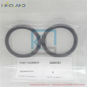 High Quality Engine Parts Seal O-Ring 212161 3001340 3026393 Suitable for CUMMINS thumbnail-3