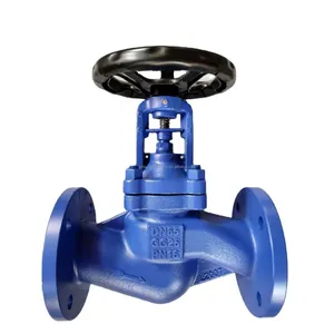 DIN PN16 PN25 Cast Ductile Iron Flange Bellows Seal Globe Valve WCB Stainless Steel Steam Bellows Globe Valve thumbnail-1