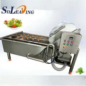 Bubble Washing Machine Fruit Vegetable Washing Equipments Commercial Bubble Parsley Cleaning Equipment thumbnail-1