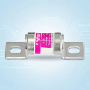 Customized RGS7 Fast Fuse 1A-350A With High Breaking Capacity thumbnail-1