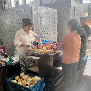 Heat Pump Grapes Dryer Food Dehidrator Machine Groundnuts Pistachio Nuts Drying Machine EPC thumbnail-3