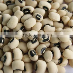 Black Eyed Beans thumbnail-1