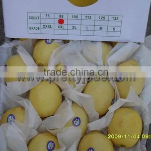 2014 New Fresh Pomelo thumbnail-1