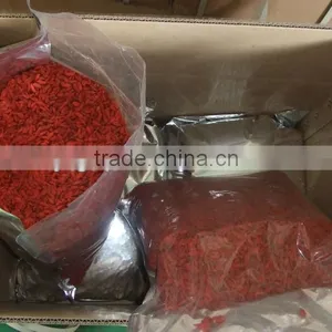 Organic Certified Gojiberry in Our Own Company-owned Goji Farm thumbnail-5