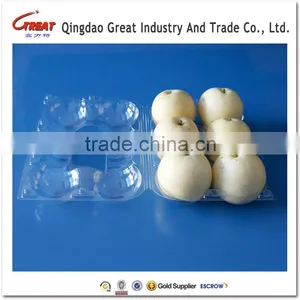 Clear Plastic Kiwi Fruit Packaging Plastic Box PET Plastic Packing Container thumbnail-6
