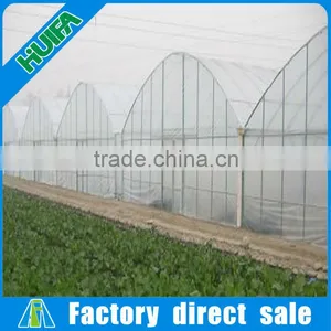Multi-span Plastic Film Greenhouse and Forever Flowering Auto Blackout Greenhouse thumbnail-6