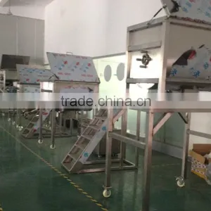 2016 Shanghai New Horizontal Powder Ribbon Blender thumbnail-6