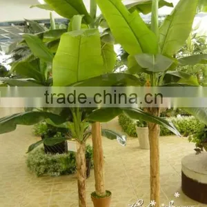 Popular High Quality Low Cost Artificial Banana Tree for Indoor Decoration thumbnail-5