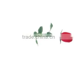 Rose Box thumbnail-1