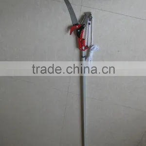 Long Reach Pole Saw thumbnail-4
