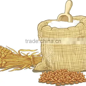 Hard Wheat Grain / Whole Wheat Flour thumbnail-5