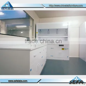 Chemical Hoods/ Industrial Exhaust Hood , PP Fume Hood thumbnail-4