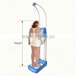 2016 New Product GS6.6 Bio Impedance Body Analyzer/body Fat Analyzer /human Body Analyzer thumbnail-1