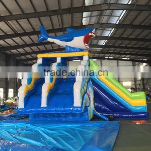 Jumping Castles Inflatable Water Slide,inflatable Vagina Slide thumbnail-4