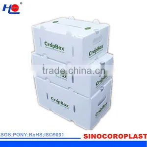 Washable Corrugated Polypropylene Box thumbnail-3