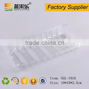 OEM Design PET Blister Vacuum Forming Plastic Tray thumbnail-5