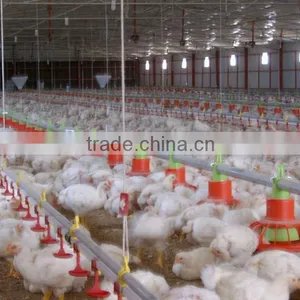 Broiler Feed Pan System thumbnail-1