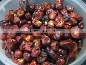 Round Red Chilli thumbnail-3