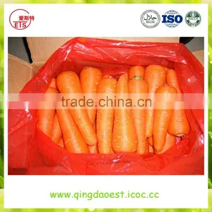 High Quality Fresh 2016 New Carrot thumbnail-3